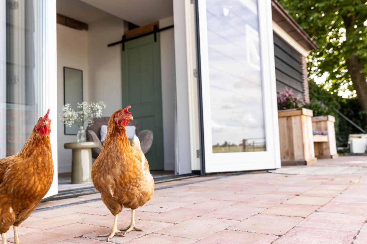 De Zuiderstolp Bed & Breakfast Zuidermeer Ngoại thất bức ảnh